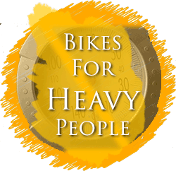 bikes for heavy people